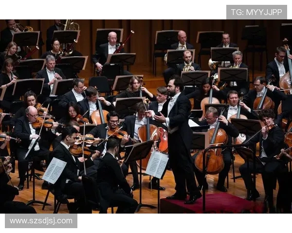 国王与太阳的对决：一场历史与命运交织的激烈碰撞