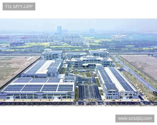 盐城大丰港战队勇夺冠军 展现出色实力与团队合作精神