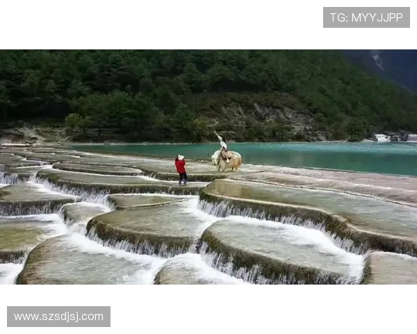 世界杯激战全球足球强队逐梦荣誉巅峰盛况全景深度解析赛事脉动 世界杯激战全球足球强队逐梦荣誉巅峰盛况全景深度解析赛事脉动