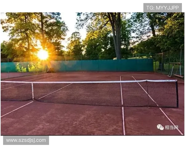 从草地到红土再到硬地全面解析网球场地变化对比赛策略的深远影响 从草地到红土再到硬地全面解析网球场地变化对比赛策略的深远影响