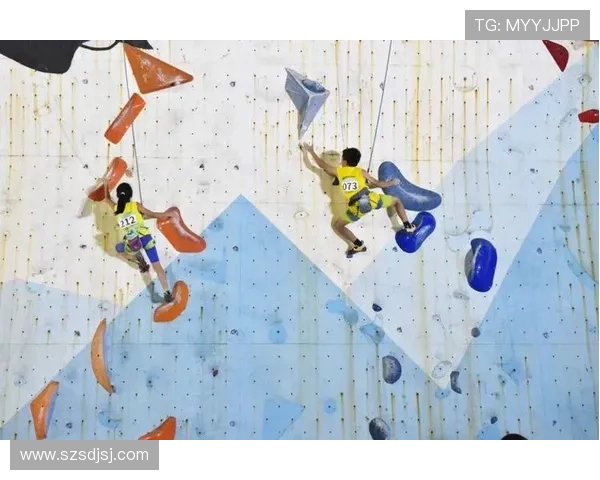 武汉攀岩队灵活性分析与提升策略探讨助力攀岩运动发展