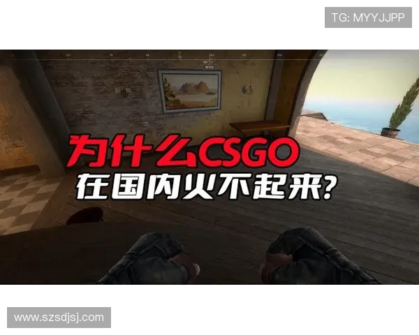 深度探讨李秀英在CSGO世界中的成长与挑战之路
