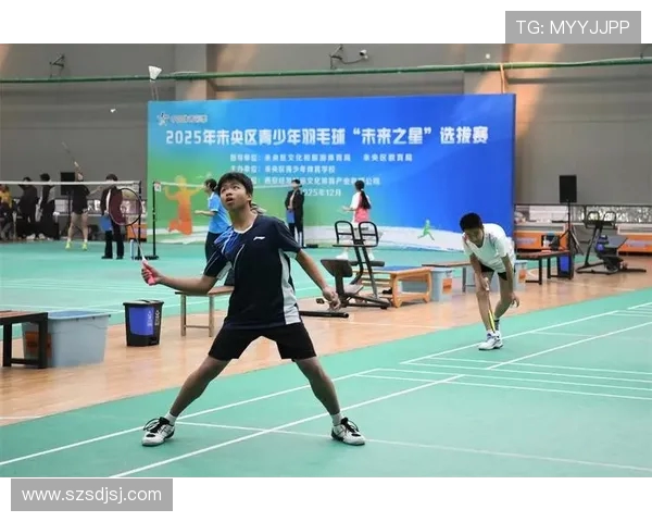 羽毛球巨献：深入剖析西安羽毛球队运动员的个人技术与风采