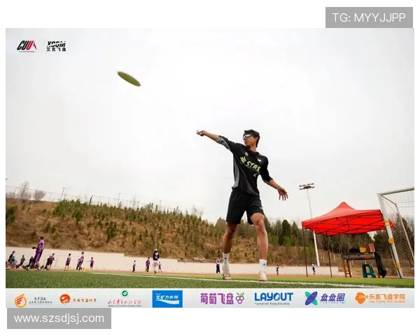 赛后分析：北京飞盘队与武汉飞盘队的战术意识与团队协作探讨