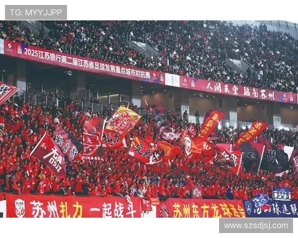 从绿茵激情出发探索足球文化全球影响与未来多元发展趋势新契机下